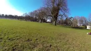 ZMR250 mini quad cf
