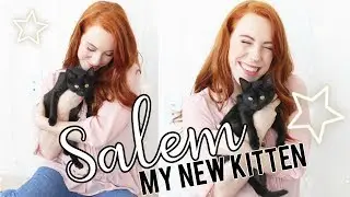 I Adopted a Kitten! | Meet Salem ⭐️