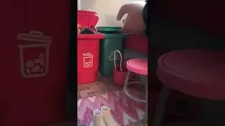 Barbie house tour of 2019