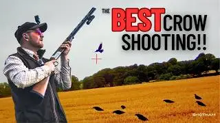 NON-STOP CROW SHOOTING with ShotKam Gen 4 footage