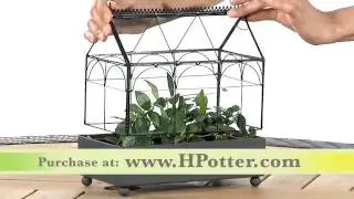 Terrarium, Wardian Case