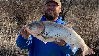Snagging Asian carp with a bass set up {man down}