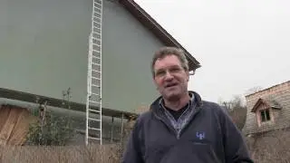Specht an Hauswand