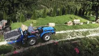LIVE TRENTINO TRA I VIGNETI