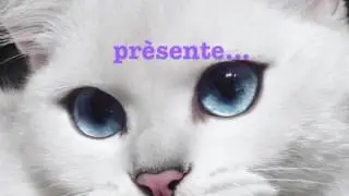 La vie d'Étoile De Tigre