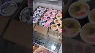 Our all time favourite icecream🍦||So affordable Amul best icecream🍨😋#shorts #short #youtubeshorts