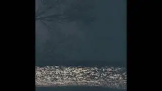 Fog Lake - virgo indigo