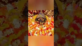 Maa Lo maa Biraja🔱🪷⚜️ #shorts #shortsfeed #shortvideo #birajatemple #viral