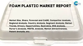Foam Plastic Market Report 2024