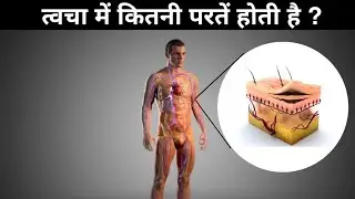 त्वचा में कितनी परतें होती हैं ? layers of skin