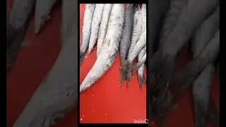 #viralshorts #fishes#sonehra