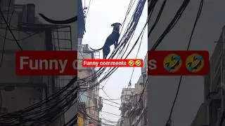 try not to laugh challenge😂 | Funny comments | part 75 #shorts