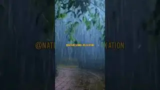 Viral Rain Symphony: Trending Rain Sounds for Instant Calm #shorts