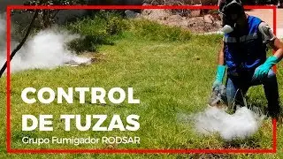 Control de tuzas | Fumigaci&oacute;n en Puebla