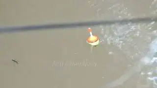 mancing sexy sampai basah