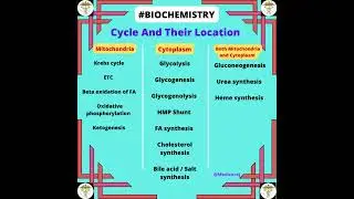 Biochemistry  important Cycle and their locations #biochemistry #mbbs #neetpg #next #fmge #nmc #mci