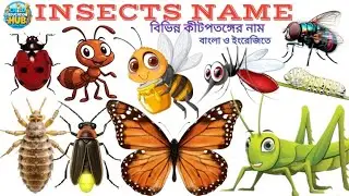 20 Insects Name for Kids | Insects Name in English and Bengali | Learn Bugs with Fun Facts | Insects