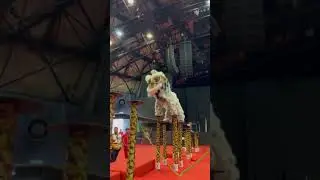 美國聖地亞哥南海關聖宮龍獅團 USA Southern Sea Kun Seng Keng Dragon and Lion Dance Association 2023 Genting