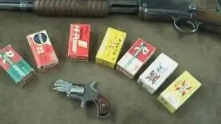 .22 short ammo