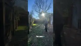 Warlocks just find the basket! #viral #flyingdisc #golf #discgolf #trickshots #shorts #viral #foryou