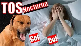 Tos CARDIACA en perros 🍓 ¿No te deja dormir?