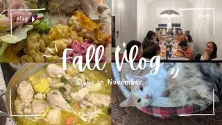 Cats, dominican cake, thanksgiving prep, family time * days in november vlog