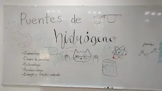 Puentes de Hidr&oacute;geno e Interacciones hidrof&iacute;licas e hidrofobicas