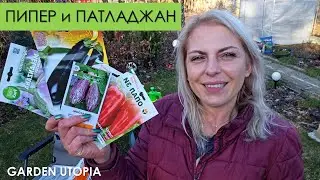 Засяване на пипер и патладжан | 2025 г.