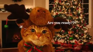 Плейлист готов! Счастье с первой ноты 🧡 Рождественский плейлист🎄Зимний поп нон-стоп