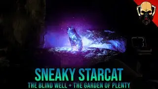 Blind Well & Garden of Plenty | Sneaky Starcat Locations | Week #1 | Destiny 2 Season of The Wish