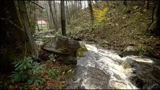 Bowen's creeks rise with passing storm
