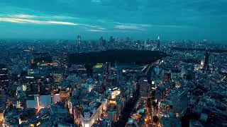 Why You Need Travel Insurance for Your Trip to Japan