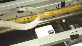 Printing on Stamp Melon