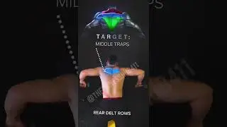 Target upper traps, lower traps, middle traps !! by dumbbells workout!!