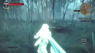 witcher 3 | fighting Werewolf | ladies of the wood