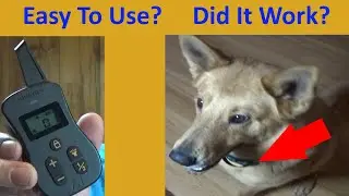 Setting Up The Invirox K9 Ultra Dog Training Collar (Test/Review/Results) Shock? Instructions