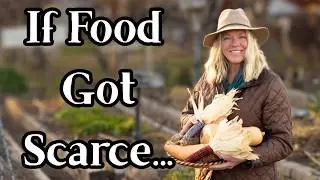 Best Crops to Grow if You Had to Survive Off Your Garden