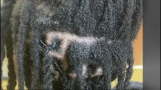 Doing Ropes on a moving scalp