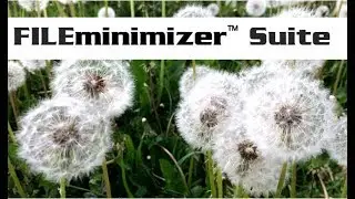 Free up storage space! SIMPLY AWESOME! - FILEminimizer Suite