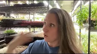 E6: Helping Your Microgreens Last Longer
