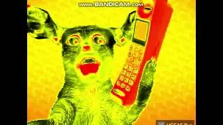Preview 2 Numa cat Extended But Spanish and back on vegas pro 30 days | IMAGINALEXISS