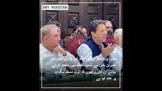 Raids before Long March: PTI goes to Court