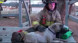 New pet mask helps save dog during early morning fire