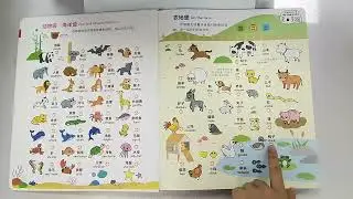 baby finger touch sound books
