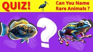 Can You Name These Rare Animals? 🧐🌍 Quiz Time