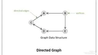 Directed Graph 