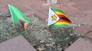 Zambian and Zimbabwean flags waving