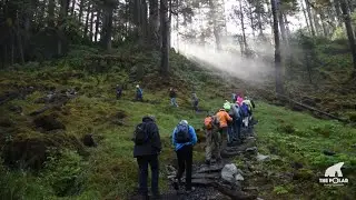 Explore True Alaska with The Polar Travel Company