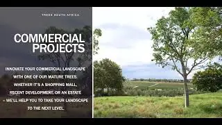 Trees South Africa, the Mature Tree Experts