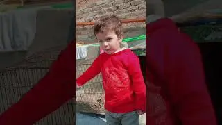 #youtubeshorts #youtube #cutebaby #don